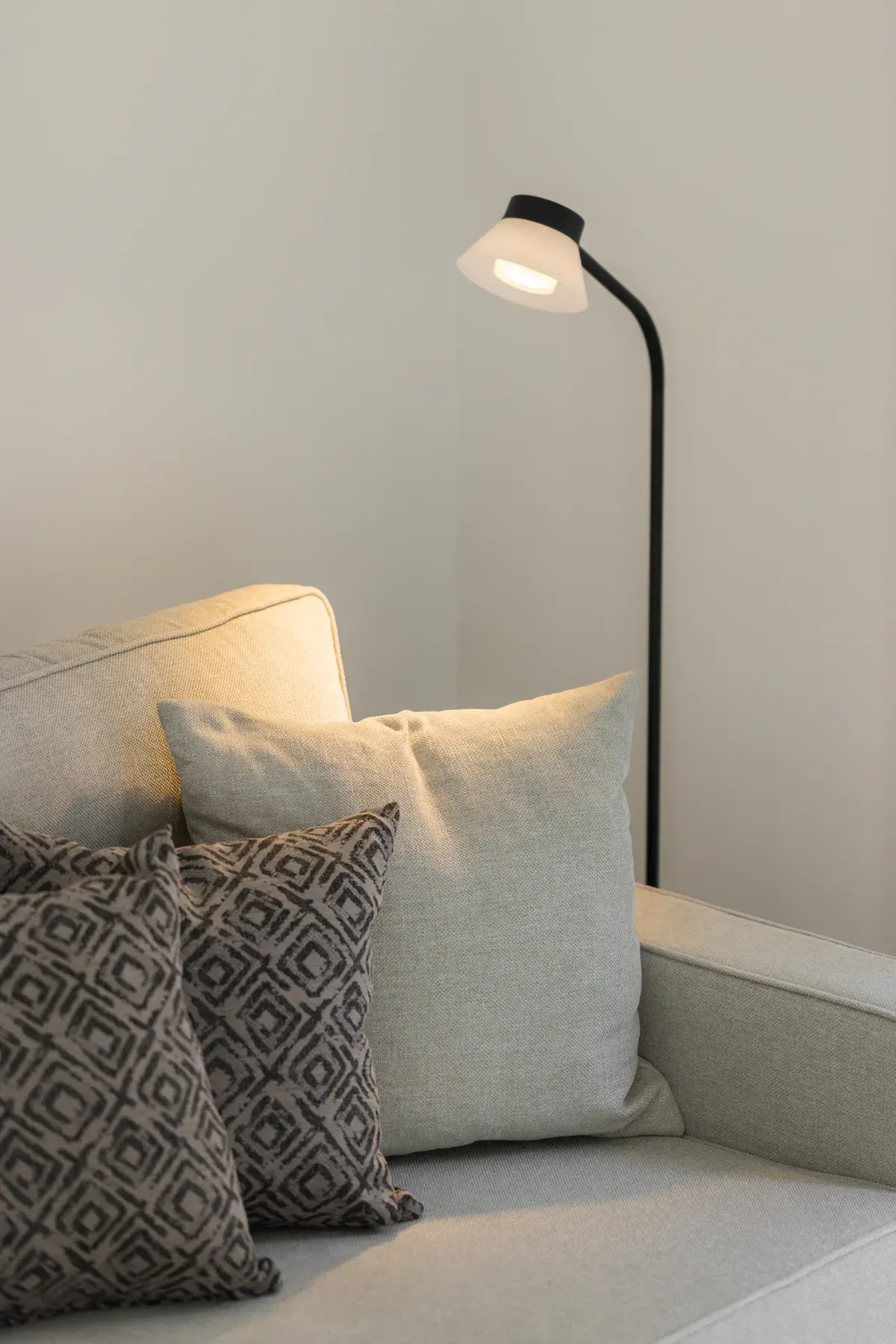Decorative cushions on the living room sofa